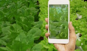 Quels sont les exemples les plus courants d'applications de l'Intelligence Artificielle ? Quels sont les exemples les plus courants d'applications de l'Intelligence Artificielle ?